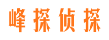 林口市场调查